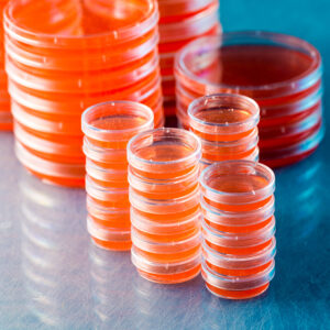 Microbiologie et pathologie