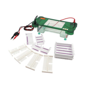 Electrophorèse