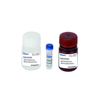 Kit de test gène rapporteur Luciférase