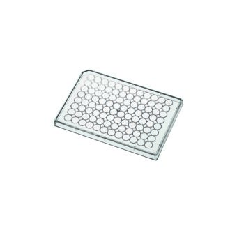 Barrette de tubes de micro-titration – Image 2