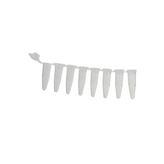 Barrette de microtubes pour PCR – Image 2