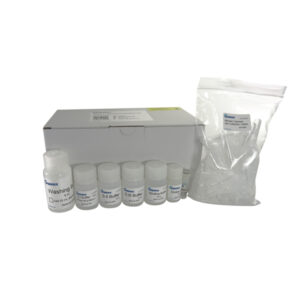 dNEAT Kit de purification plasmidique