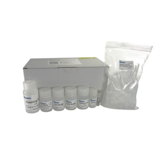 dNEAT Kit de purification plasmidique