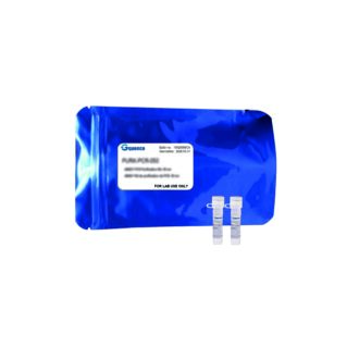 MasterMix qLUMEN pour qPCR (2x), avec colorant vert