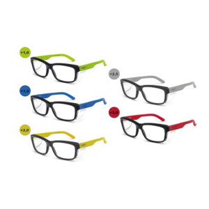 Lunettes de sécurité correctrices Premium Line modèle WORK