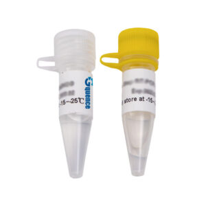 Mastermix pour PCR proofreading (2X) x-VITA