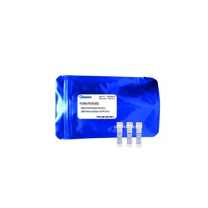 Taq Polymerase avec tampon vert x-VITA
