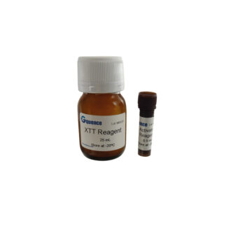 Kit de prolifération cellulaire XTT