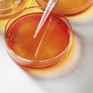 Sciences de la vie
